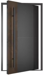 DL-21